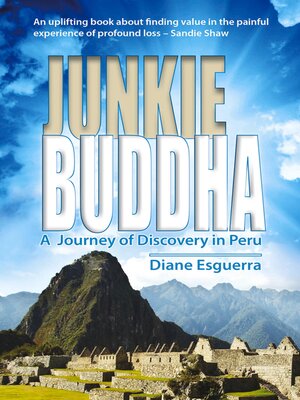 cover image of Junkie Buddha